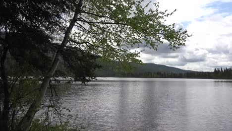 Lago-Alaska-En-Primavera