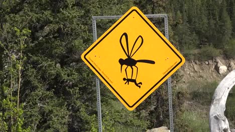 Signo-De-Mosquito-De-Alaska-Acercar