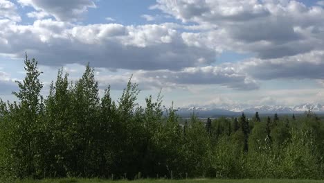 Alaska-Pfannen-Zum-Mt-Denali