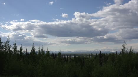 Alaska-Kleinflugzeug-Fliegt-über-Wald