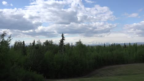 Alaska-Zoom-To-Mt-Denali-Past-Trees