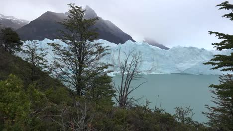 Argentina-Trees-Frame-Glacier