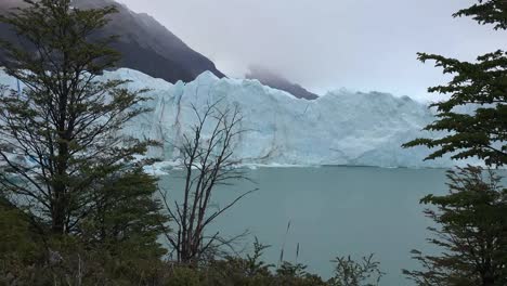 Argentina-Zooms-On-Glacier-Beyond-Trees