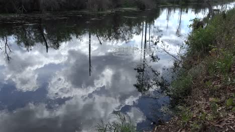 Georgia-Okefenokee-Beautiful-Cloud-Reflections