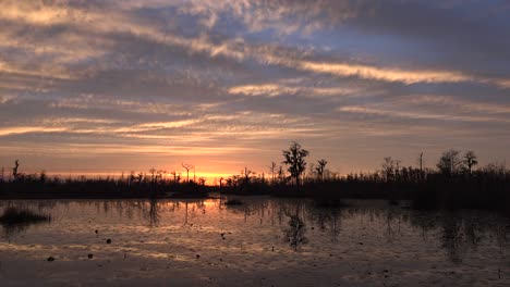 Georgia-Okefenokee-Herrlich-Nach-Sonnenuntergang-Himmel