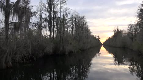 Georgia-Okefenokee,-Der-Einen-Kanal-Durch-Zypressen-Hinunterschaut