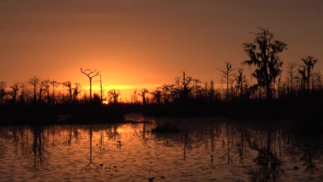 Georgia-Okefenokee-Orange-Und-Gelber-Himmel-Yellow