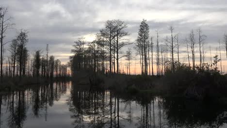 Georgia-Okefenokee-Friedliche-Bewegung-Durch-Sumpfschwenk-Und-Zoom