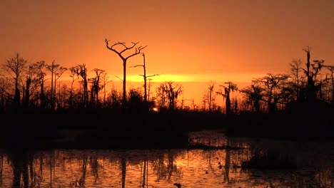 Georgia-Okefenokee-Untergehende-Sonne-Orange-Himmel-Zoomt-Heraus