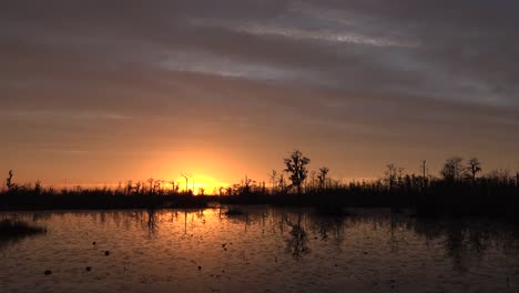 Georgia-Okefenokee-Untergehende-Sonne-über-Sumpf