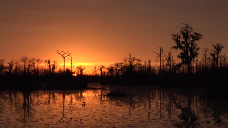 Georgia-Okefenokee-Untergehende-Sonne-Mit-Orangefarbenem-Himmel-With