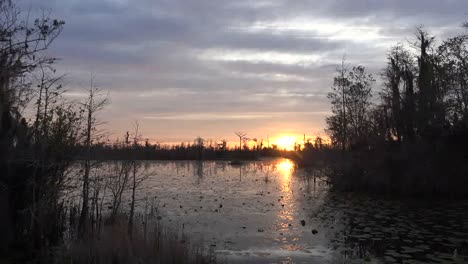 Georgia-Okefenokee-Sonne-Sinkt-Tiefer