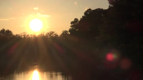 Georgia-Okefenokee-Sonnenuntergang-über-Wald-Und-Wasser-Sonnenstrahlen-Wood
