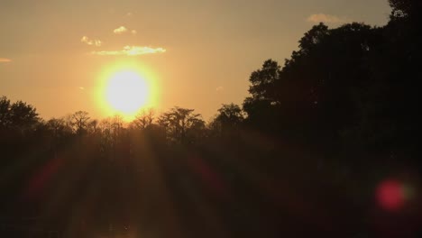 Georgia-Okefenokee-Sonnenuntergang-Mit-Sonnenstrahlen-Vergrößern