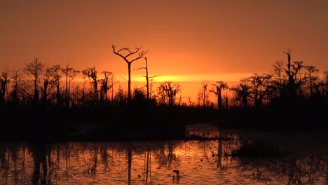 Georgia-Okefenokee-Zooms-Out-From-Sunset