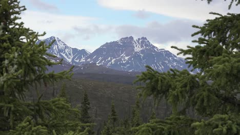 Alaska-Mountain-And-Trees-Zoom-Out