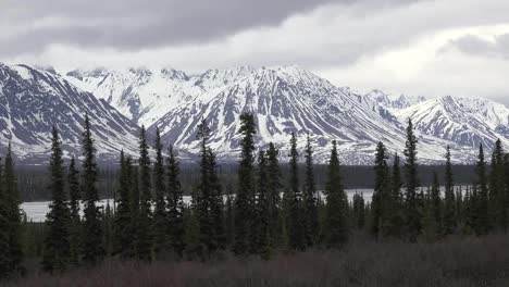 Alaska-Montañas-Nevadas-Y-Línea-De-Abeto