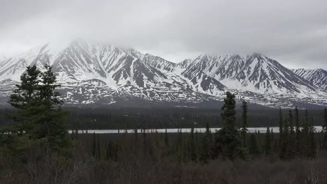 Alaska-Snowy-Mountains-And-Spruce-Trees-Pan