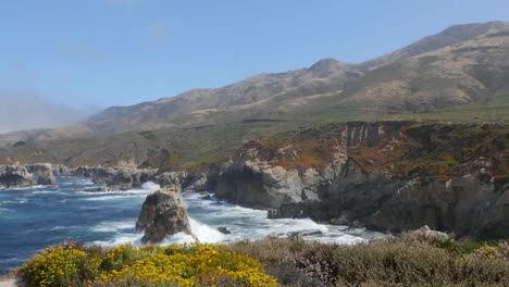 Kalifornien-Big-Sur-Waves-In-Der-Bucht-Am-Soberanes-Point-Mit-Blumen