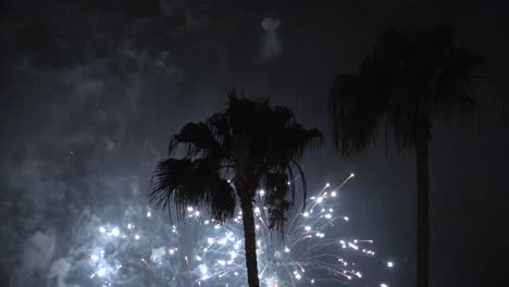 Kalifornien-Feuerwerk-San-Diego-Mit-Zwei-Palmen