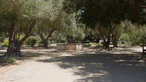 California-Lompoc-Mission-La-Purisima-Concepcion-Garden-And-Olive-Trees