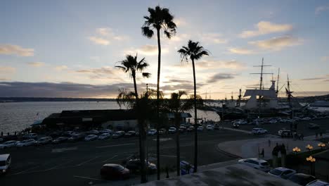California-San-Diego-Evening-Waterfront-With-Palms