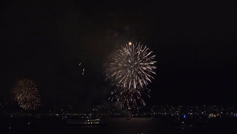 California-San-Diego-Fireworks-And-Tour-Boat-Sailing