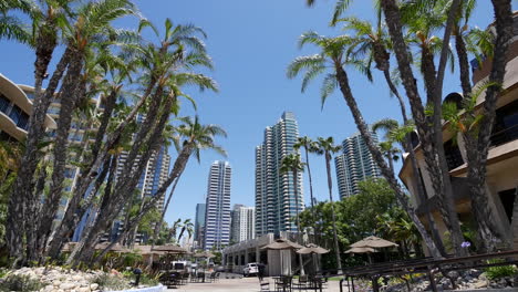 California-San-Diego-Skyline-And-Palms