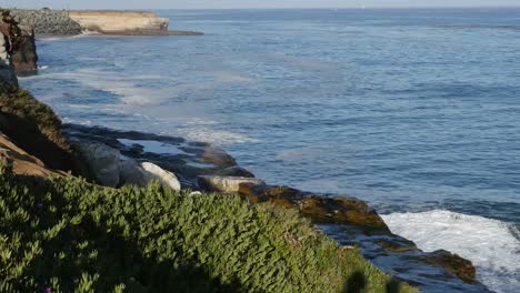 California-Santa-Cruz-West-Cliff-Blow-Hole-Waves