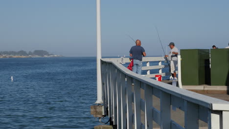 Kalifornien-Santa-Cruz-Pier-Sardinenfischen