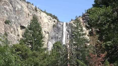 California-Yosemite-Waterfall-And-Dead-Tree-Zoom-In