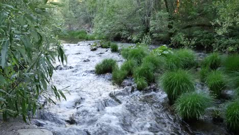 California-Rushing-Water