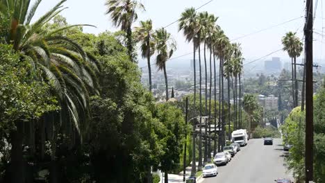 Kalifornien-Los-Angeles-Auto-Fährt-Die-Von-Palmen-Gesäumte-Straße-Hinunter
