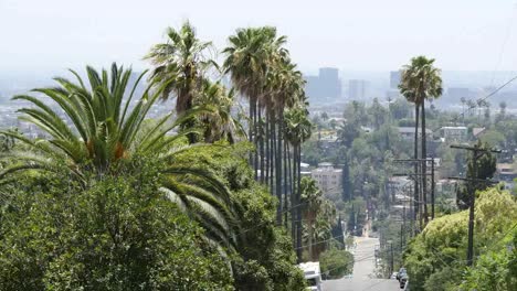 Kalifornien-Los-Angeles-Bäume-Und-Blick-Auf-Die-Straße