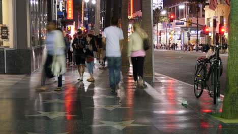 Los-Angeles-Hollywood-Walk-Of-Fame-People-With-Dog-At-Night