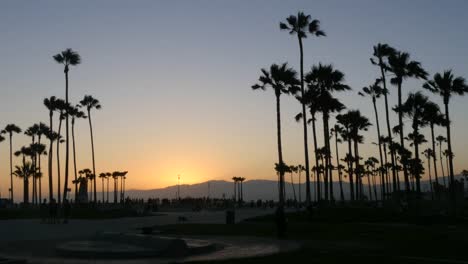 Los-Angeles-Venice-Beach-Park-Und-Palmen-Nach-Sonnenuntergang