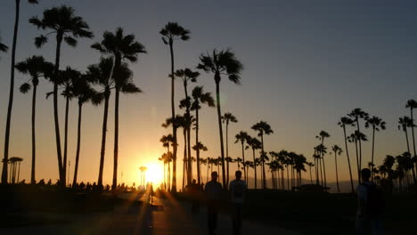 Los-Angeles-Venice-Beach-Park-Sonnenuntergang-Hinter-Hinterleuchteten-Palmen