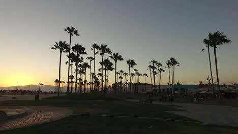 Los-Angeles-Venice-Beach-Park-Kamerafahrt-Mit-Palmen-Und-Promenade-Dahinter