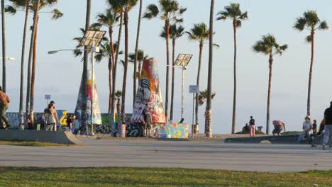 Los-Angeles-Venice-Beach-Skatepark-Spätnachmittagssonne-Mit-Palmen-Und-Graffiti