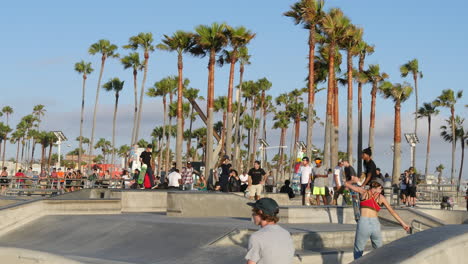 Los-Angeles-Venice-Beach-Skatepark-Mit-Palmen-Dahinter