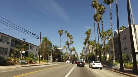 Los-Angeles-Driving-Down-A-Street-Lined-With-Palm-Trees