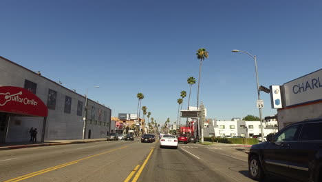 Los-Angeles-Driving-Past-Buildings-And-Palm-Trees-Time-Lapse