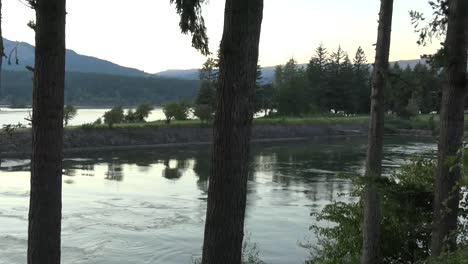 Oregon-Columbia-River-Und-Bäume-Abendschwenk-Und-Zoom