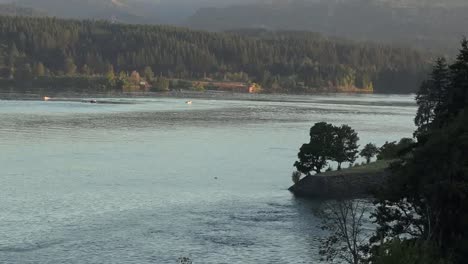 Oregon-Trees-And-Columbia-River-Zooms-Out