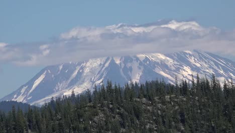 Washington-Mount-Adams-Beyond-Forested-Hill-Pan-And-Zoom