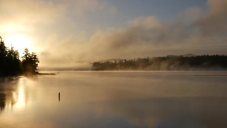 Washington-Sunrise-On-Silver-Lake-Pan