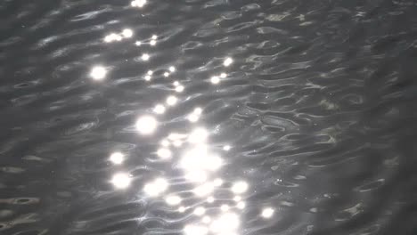 Nature-Sunlight-On-Rippling-Water