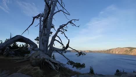 Oregon-Crater-Lake-And-Dead-Tree