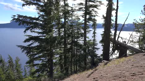 Lago-Del-Cráter-De-Oregon-Más-Allá-De-Los-árboles