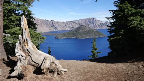 Oregon-Crater-Lake-Tree-Root-Frames-Wizard-Island